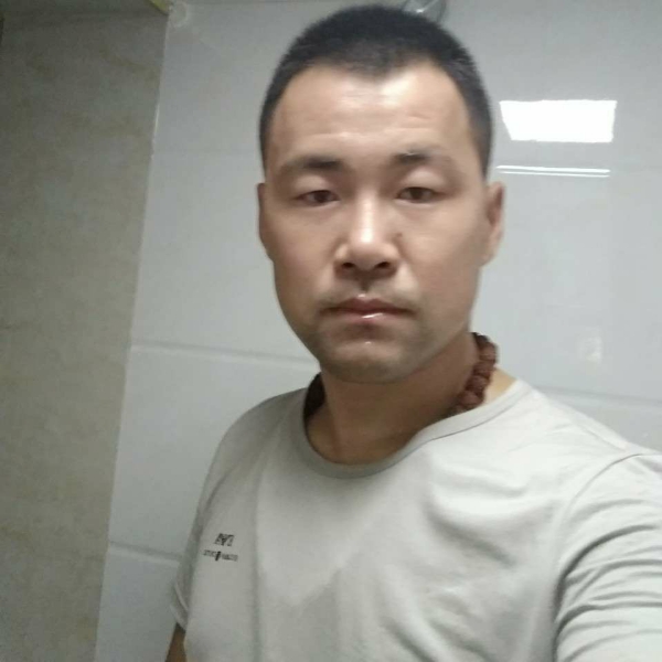 冷静停止鼠标的照片