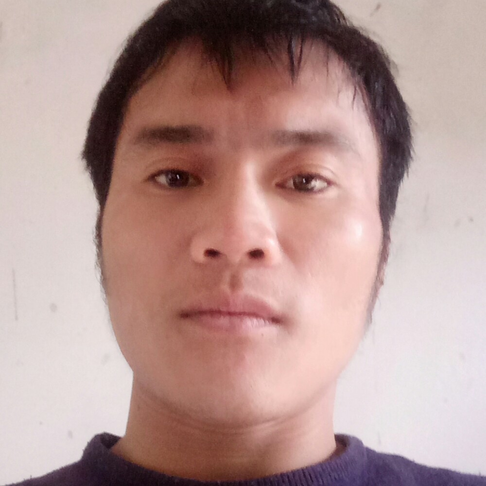 风中晨曦的照片