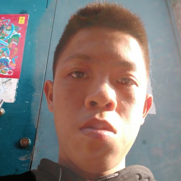 复杂的龙猫的照片