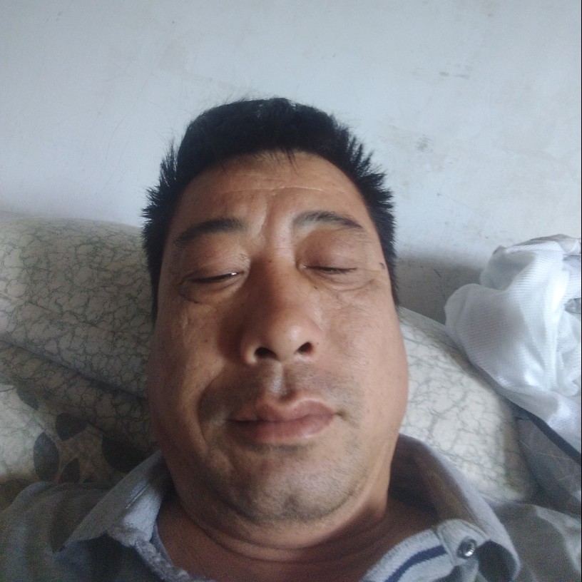 沙漠胡杨的春天的照片