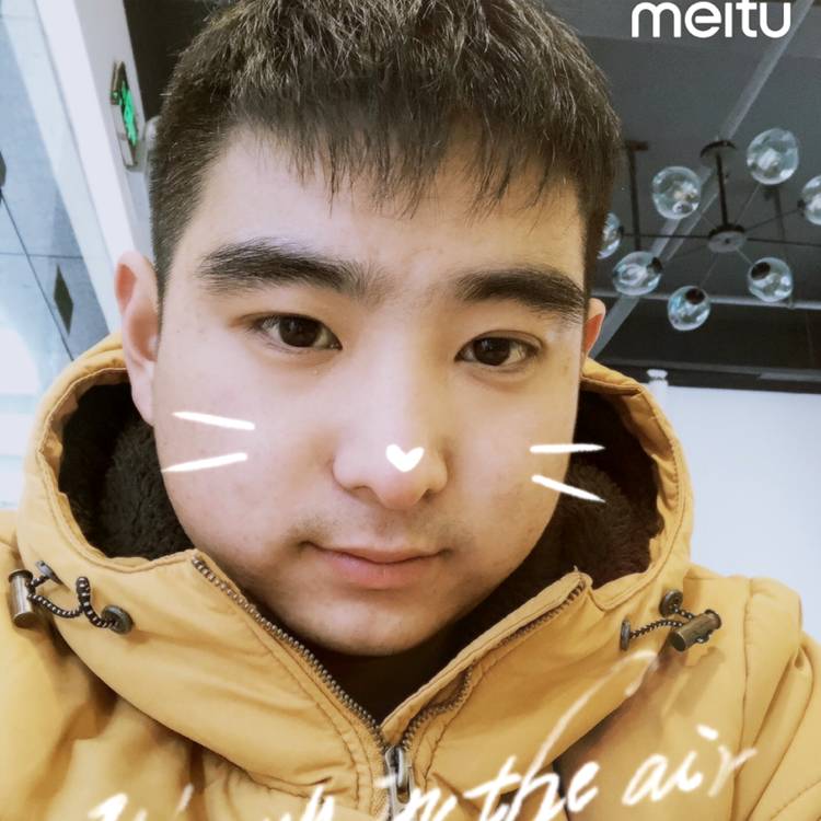 小熊猫倾心懵懂的照片