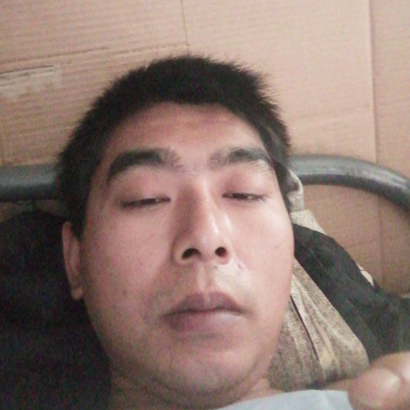 季节回眸笨笨的照片