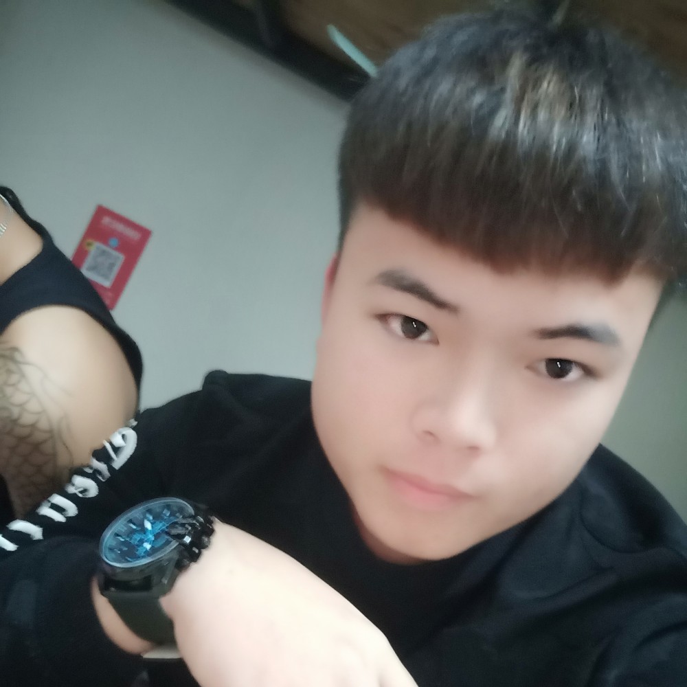 可靠凝眸大象的照片
