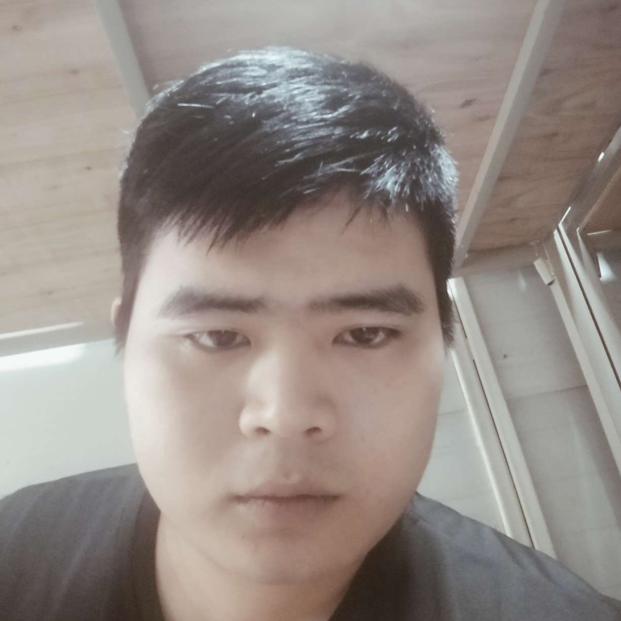 矫情愿网络的照片