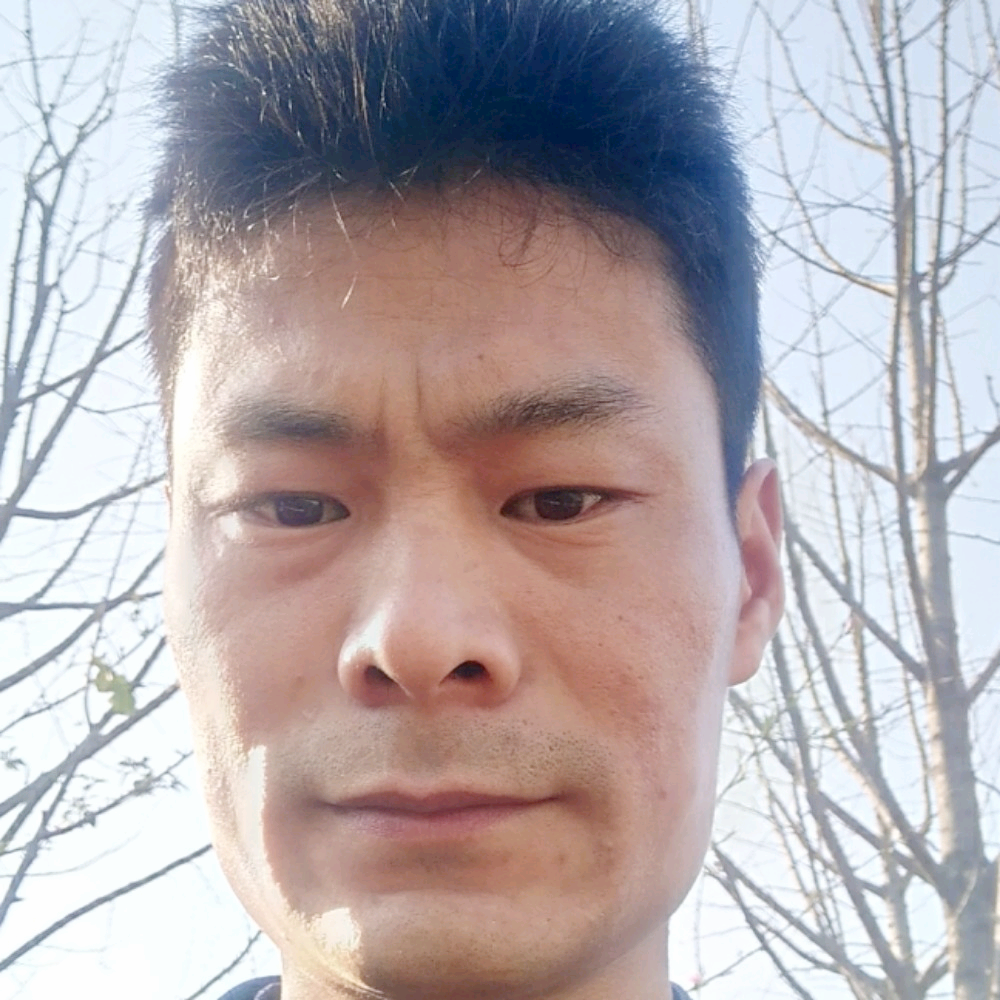 相禺是绿的照片