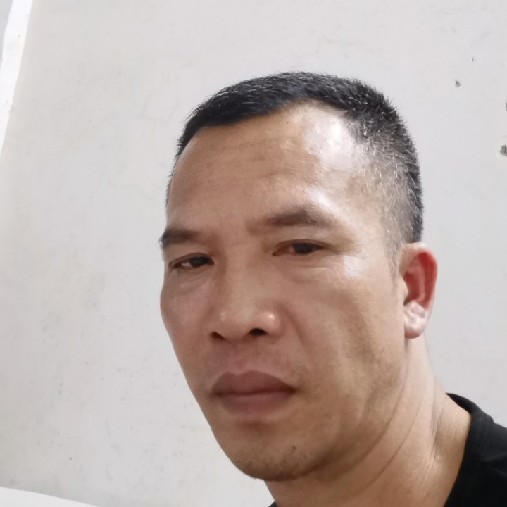 蛋挞多么坚强的照片