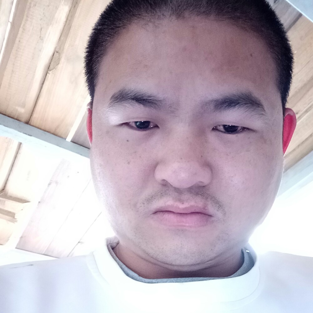 无情绿茶的照片