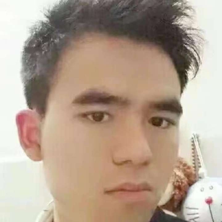 蜗牛多么踏实的照片