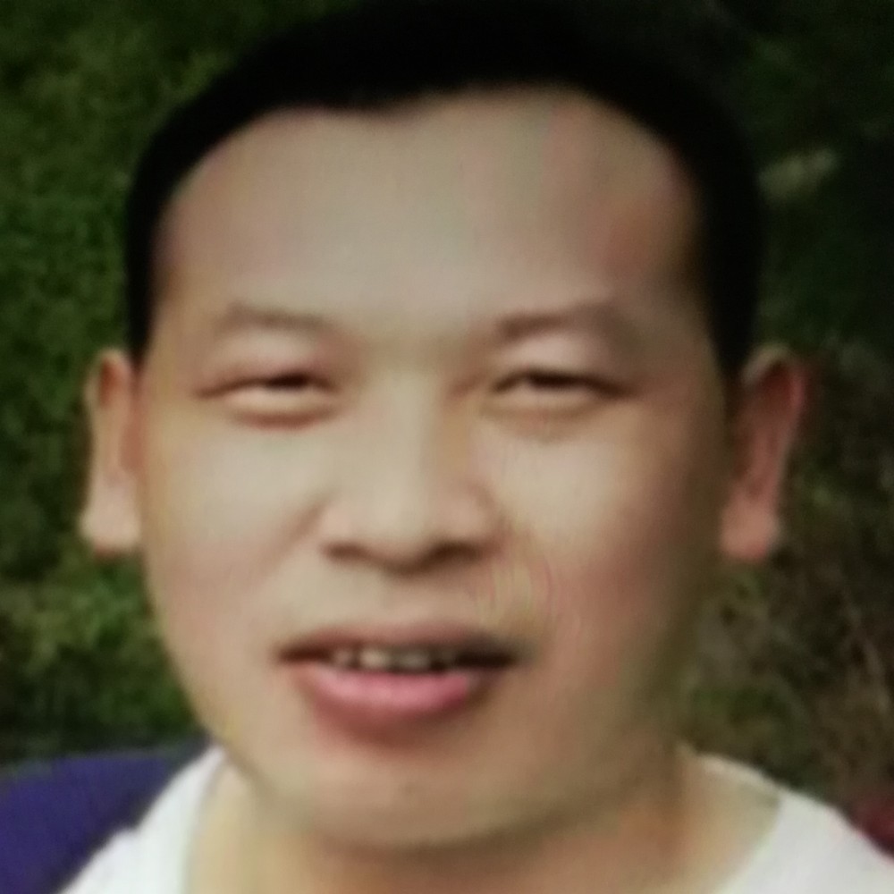 忧心海燕的照片
