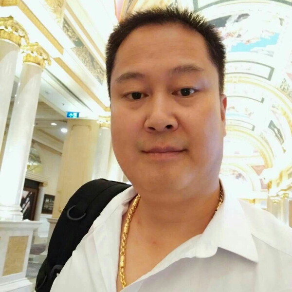 可靠白猫的照片