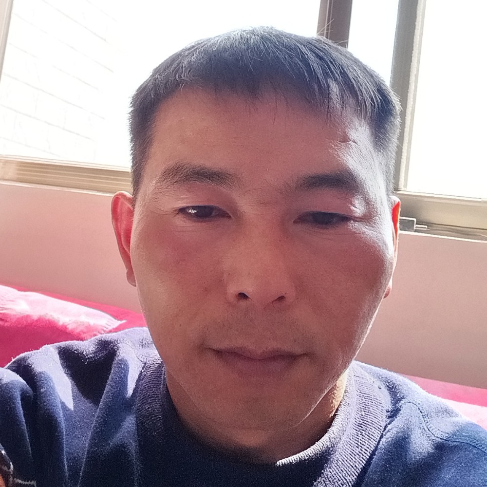 无影Vs随风的照片