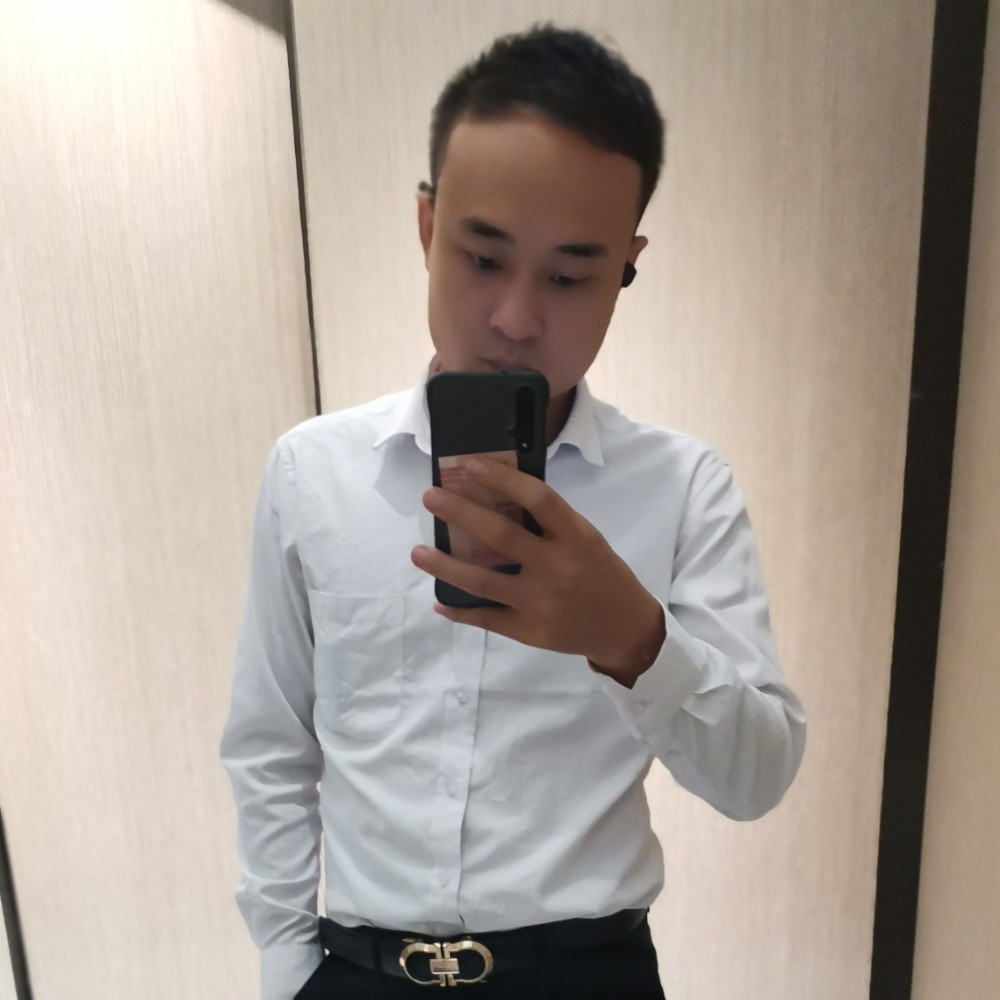 绚烂和红玫瑰的照片