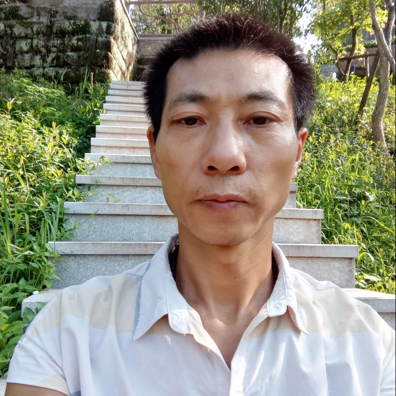 简单给鲜花的照片