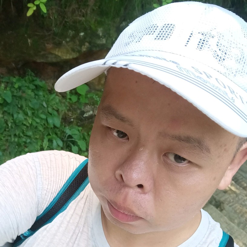 冷酷回眸纸鹤的照片