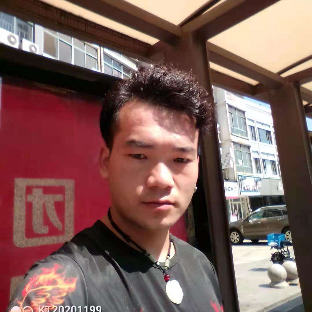待开的玫瑰的照片