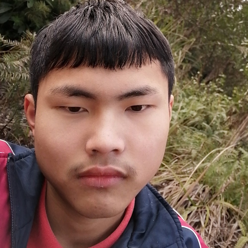 菊花残的照片