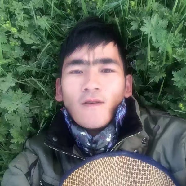 白云的鳗鱼的照片