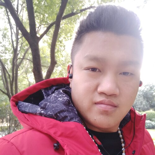 猪丢了幸福的照片