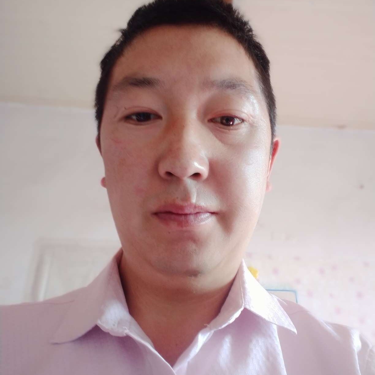 聪慧方飞鸟的照片