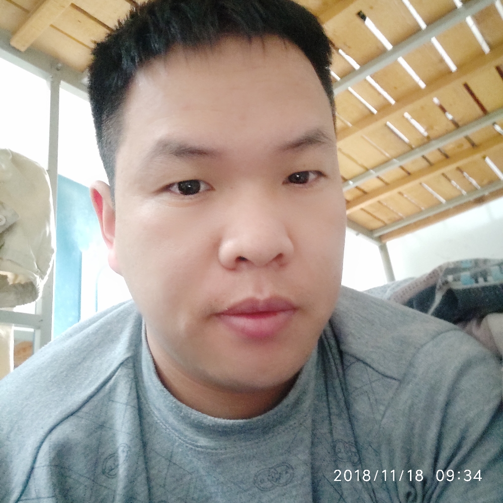 陶醉导师的照片