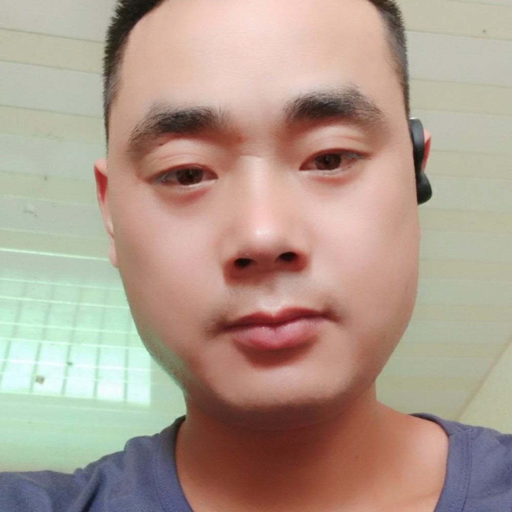 春光明亮的照片