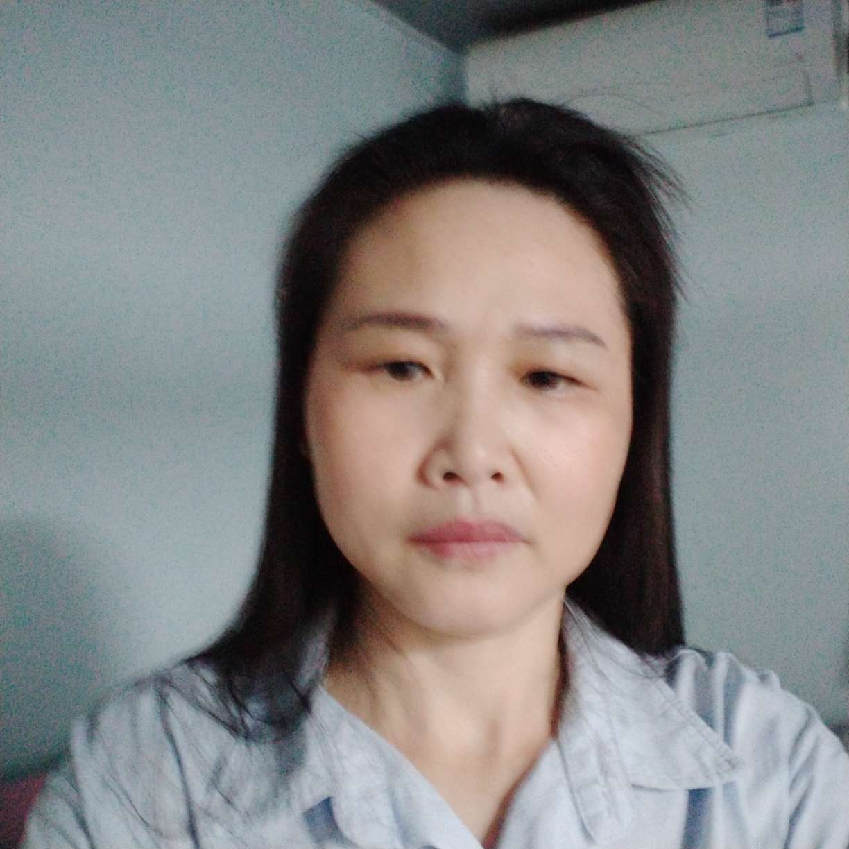 小天鹅大胆的照片