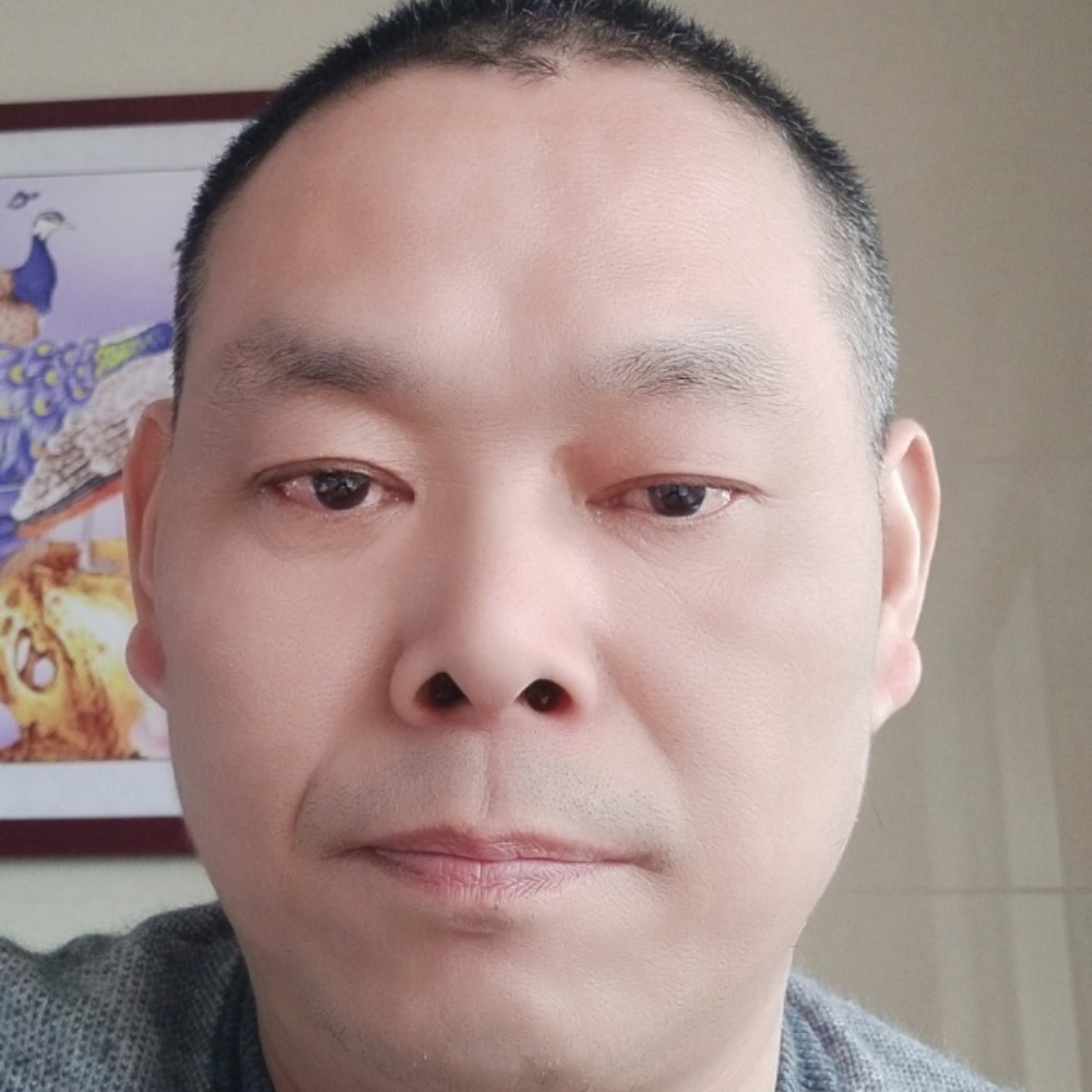 飞入的照片