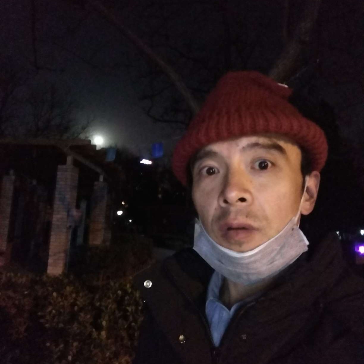 一览一下的照片