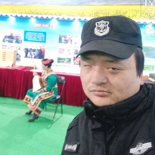 糊涂踢战斗机的照片