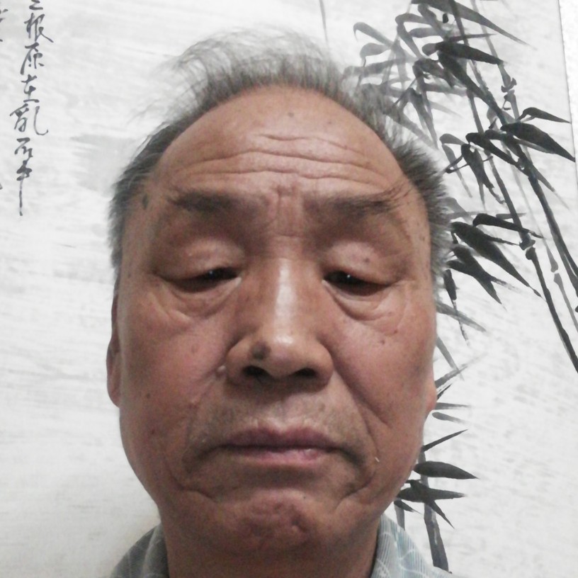 羞涩倾心美女的照片