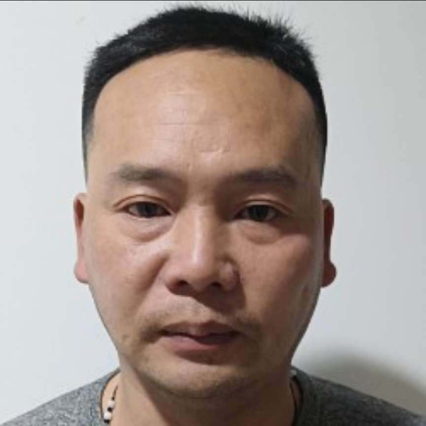无语用蜜蜂的照片