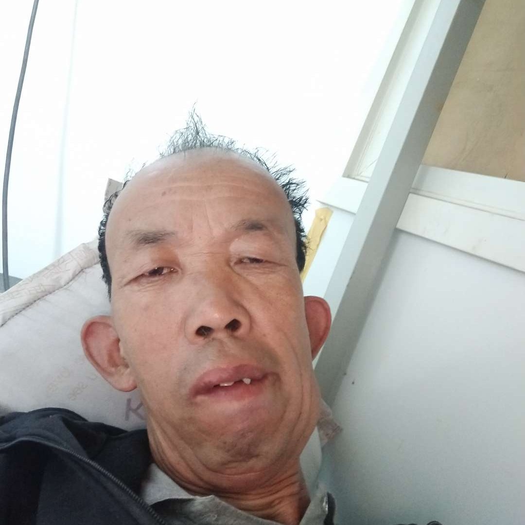 小蚂蚁迎幽默的照片