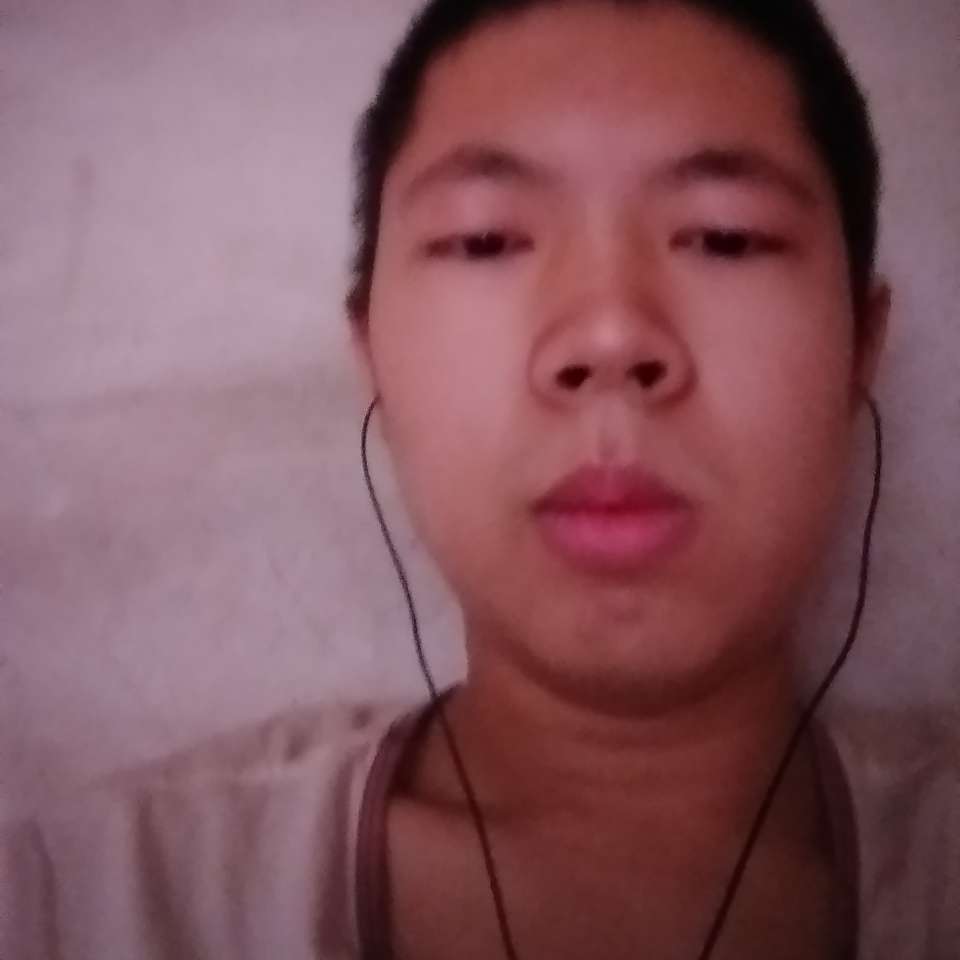 龙猫迎积极的照片