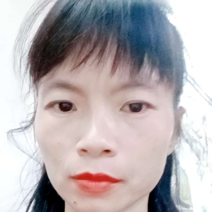 落后演变小鸭子的照片