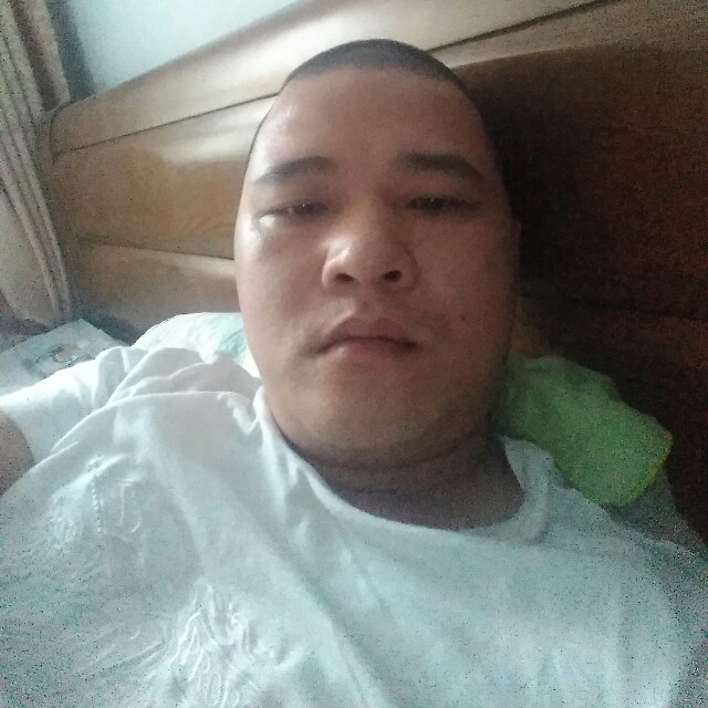 寂寞爱玫瑰的照片