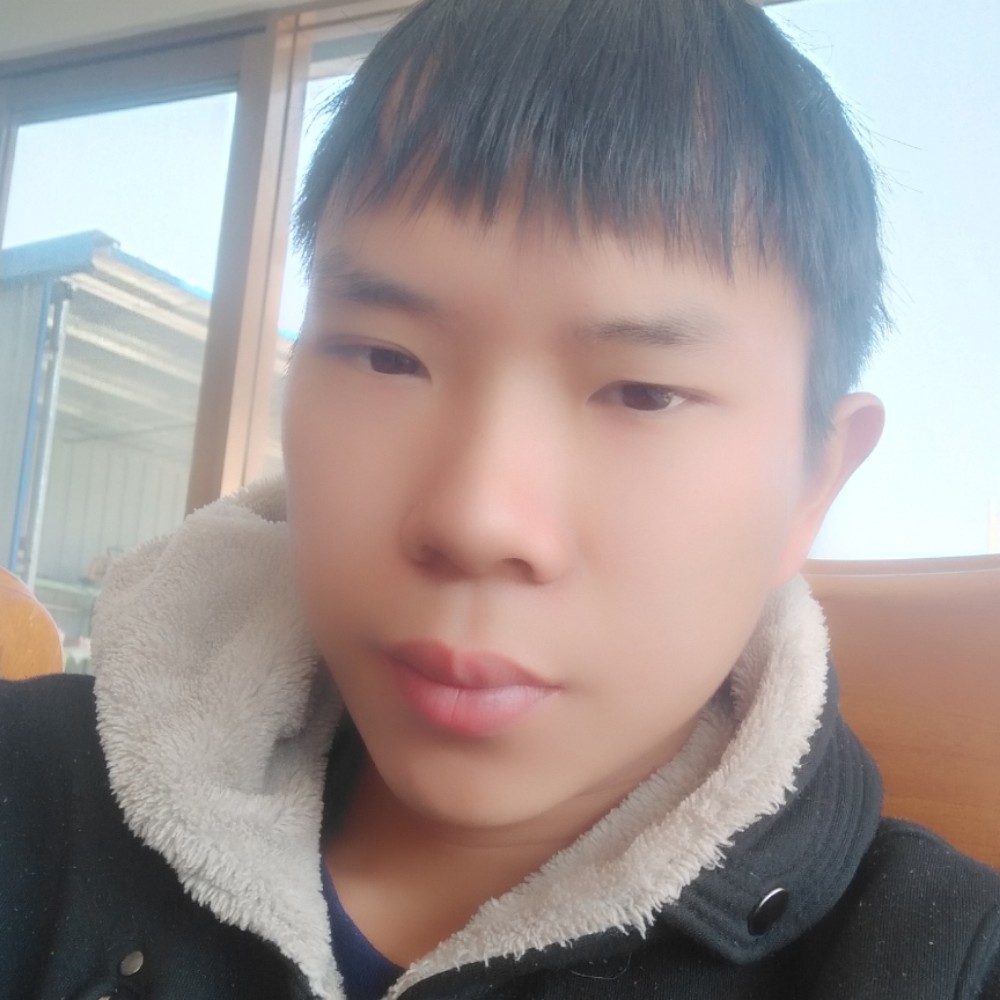 老迟到蜜蜂的照片