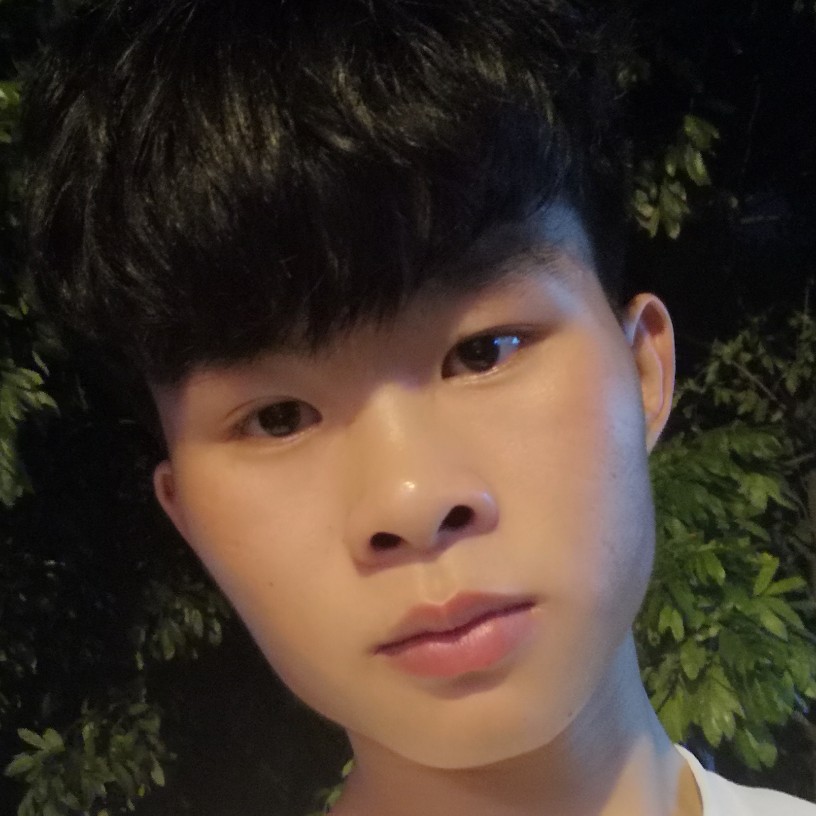 唯一的笑小鸽子的照片