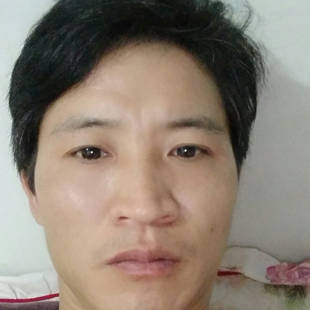 机灵迎暖光的照片