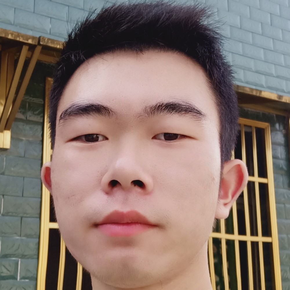 鸵鸟等待幻灭的照片