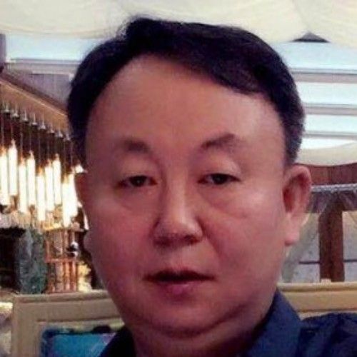阳光下的狼的照片