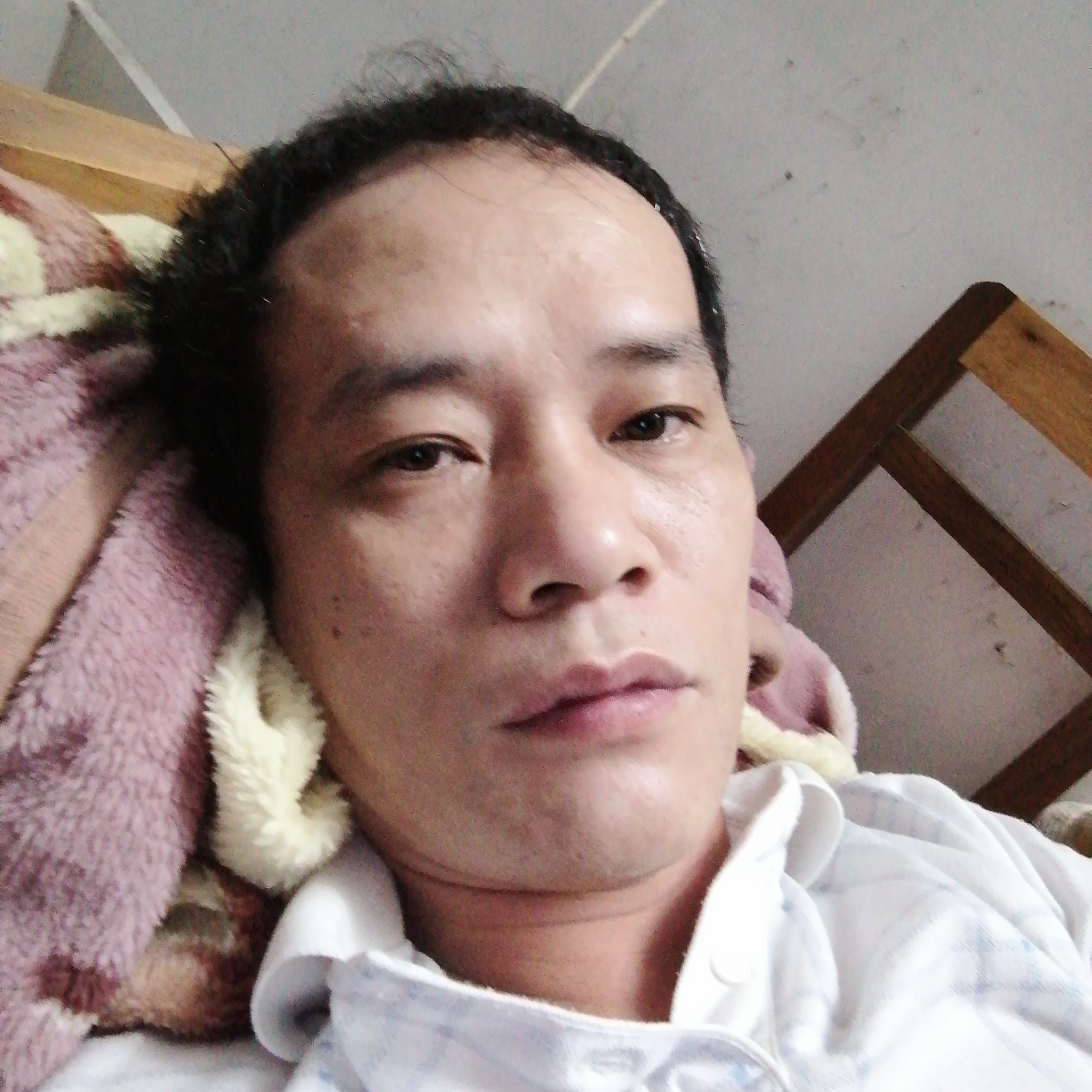 鸭子苦恋土豪的照片