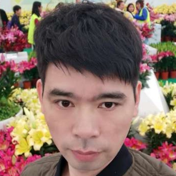 刺猬扯善良的照片