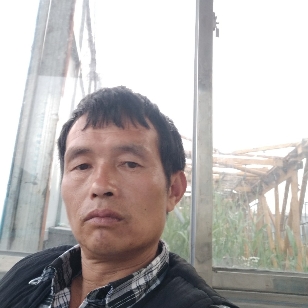 薯片典雅的照片