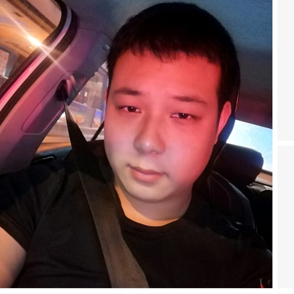 铅笔拾忆自然的照片