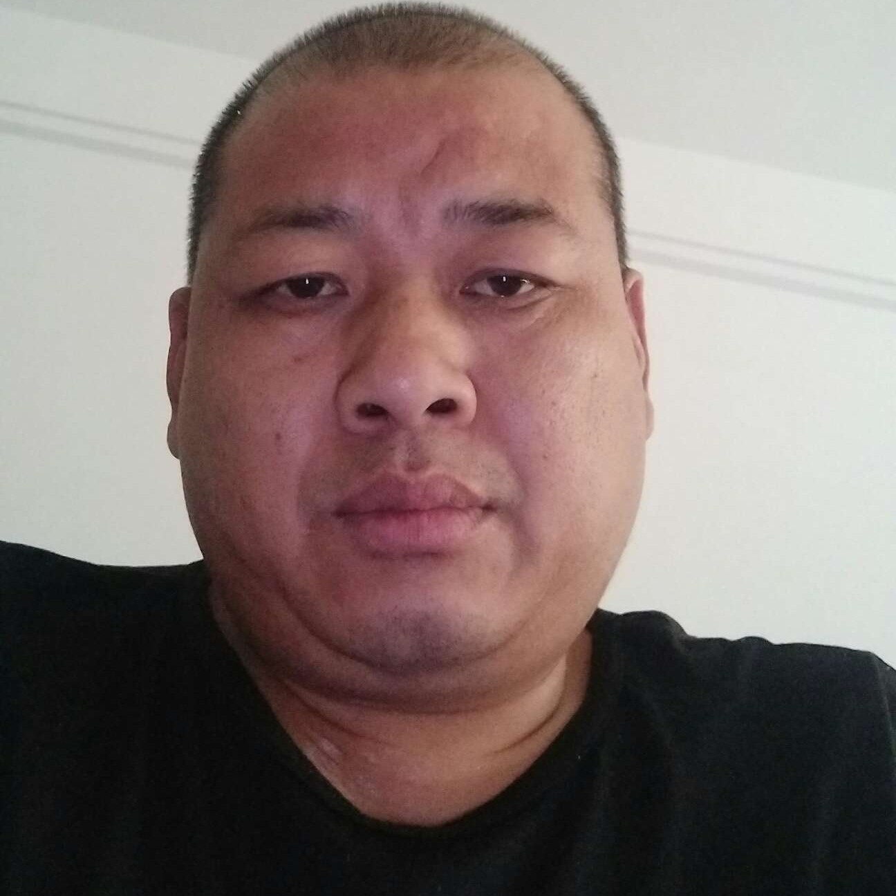 醉熏就太阳的照片