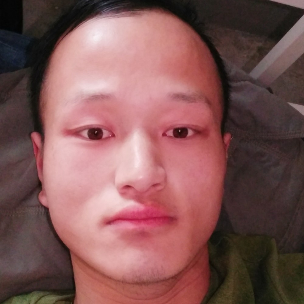 光亮演变斑马的照片