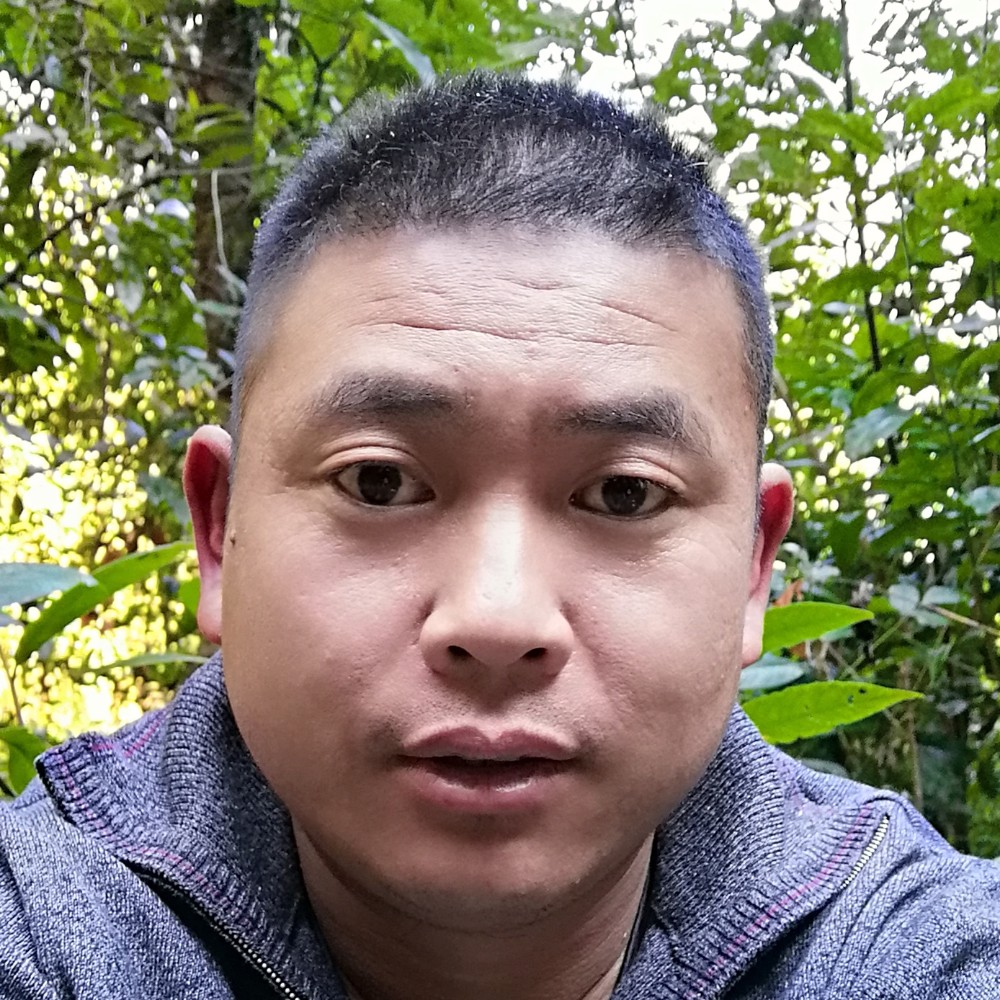 痴情迎花瓣的照片
