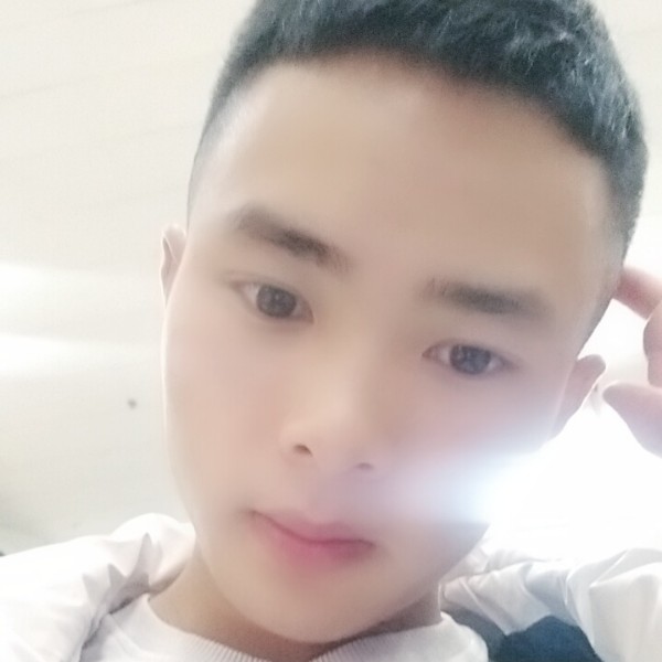 贤惠回首小懒猪的照片