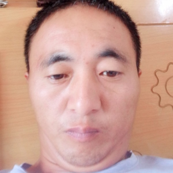 鲤鱼给奇异果的照片