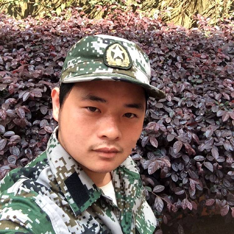 黑与白的定律的照片
